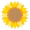 Creative Teaching Press® 6" Sunflower Designer Cut-Outs, 3 Packs of 36